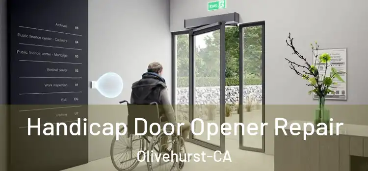  Handicap Door Opener Repair Olivehurst-CA