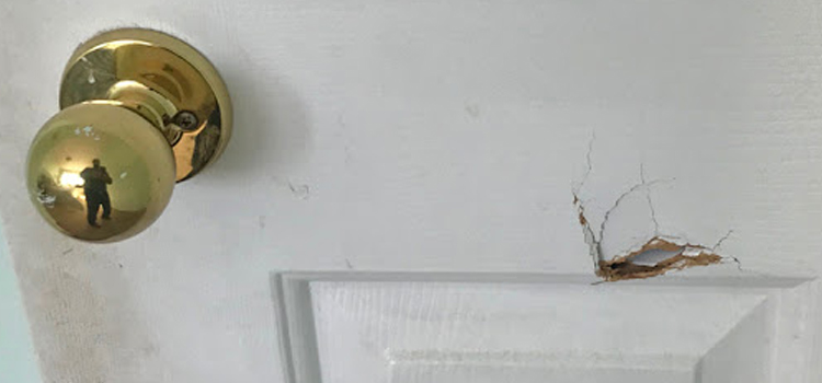 interior door hole repair Olivehurst